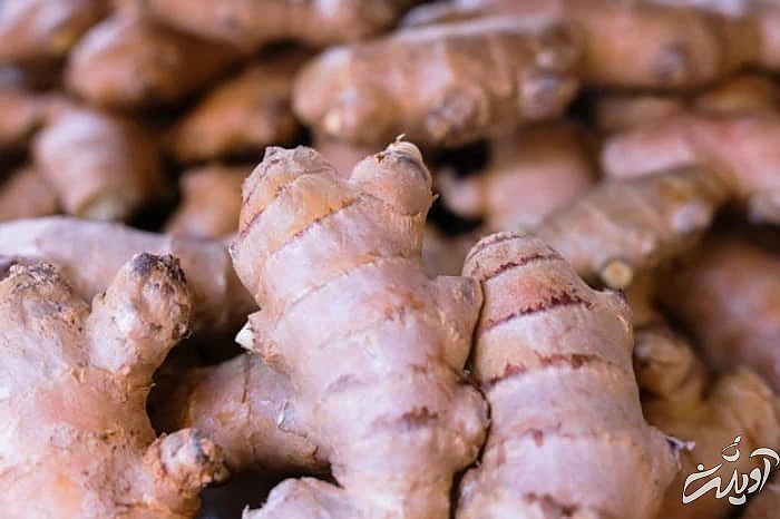 ضد درد گیاهی زنجبیل